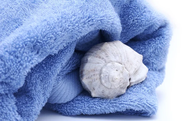 Ręcznik i muszla — Zdjęcie stockowe