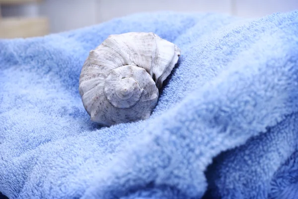 毛巾和贝壳 — 图库照片