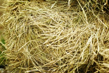 Hay stack clipart