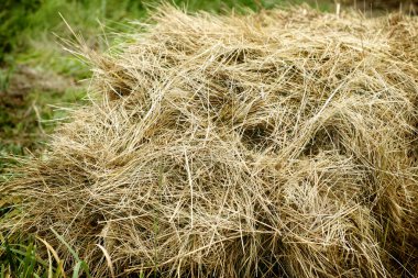 Hay stack clipart