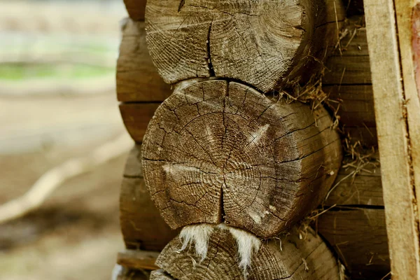 Wood texture close-up background — Stock Photo, Image