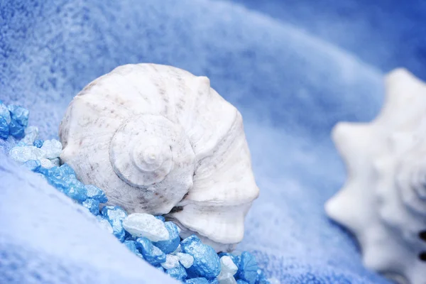 Θαλασσινό κοχύλι σε μπλε πετσέτα — Φωτογραφία Αρχείου