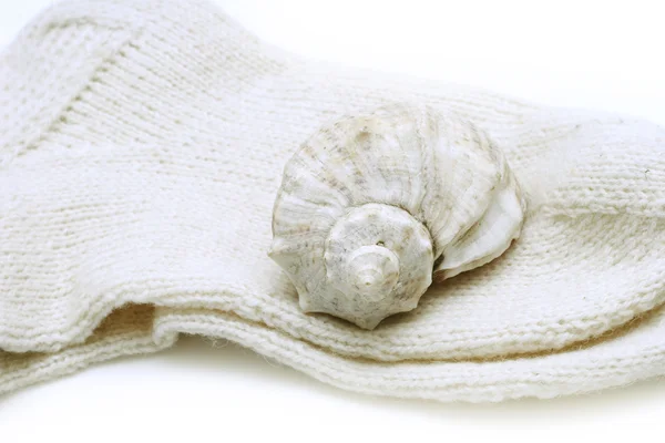 Seashell on white xmas socks — Stock Photo, Image