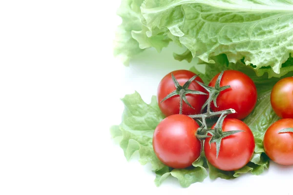 Tomates en gros plan — Photo