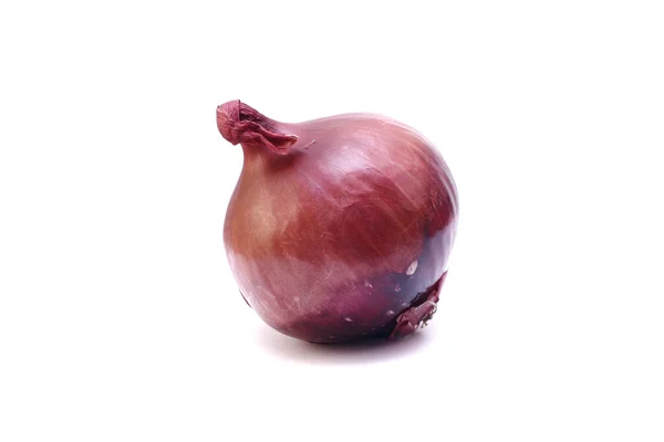 Onion isolated — Stock Photo, Image