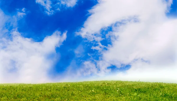 Çimen ve Gökyüzü — Stok fotoğraf