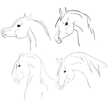 Arab horses sketch clipart