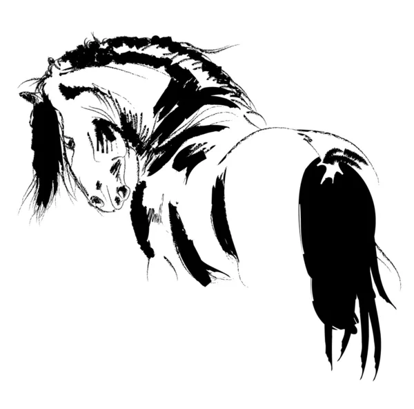 Frisian stallion sketch — Stock Photo, Image
