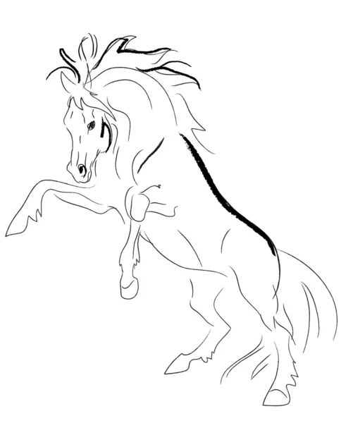 Stallion sketch — Stock Photo, Image