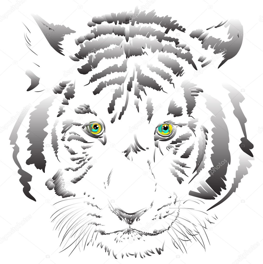 White tiger