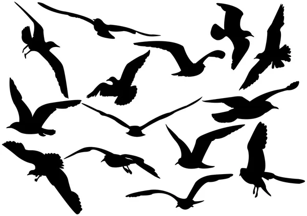 Ilustración vectorial de gaviotas voladoras — Archivo Imágenes Vectoriales