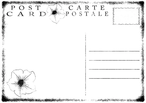 Пустой вектор почтовой открытки — стоковый вектор