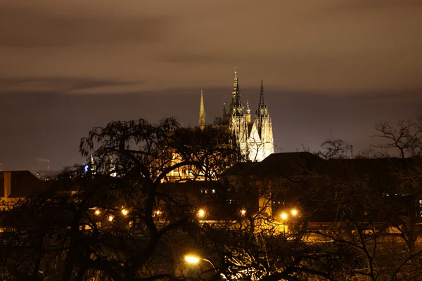 Natt syn på st.vitus cathedral — Stockfoto