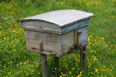 Rural wooden bee hive clipart