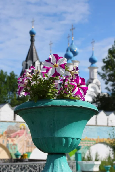 Květiny v ruské středověkého kláštera — Stock fotografie