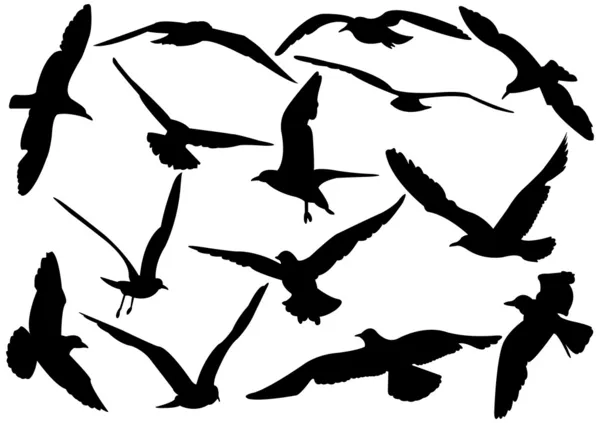 Ilustrasi vektor burung camar laut terbang - Stok Vektor