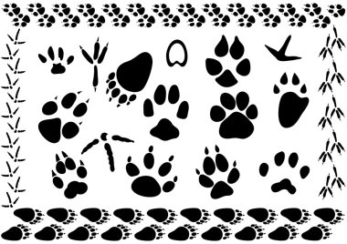 Animal and bird footsteps vector clipart