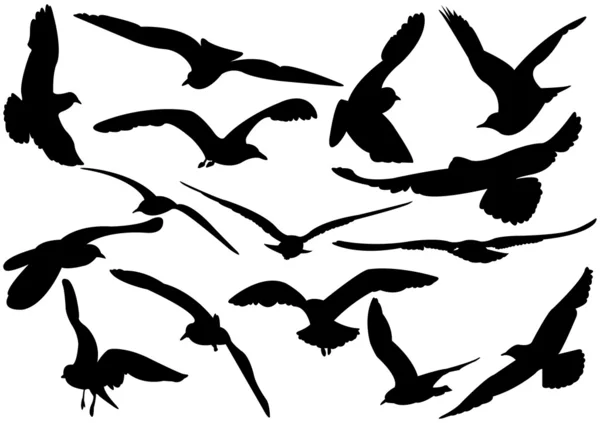 Uçan deniz-martılar illüstrasyon vektör — Stok Vektör