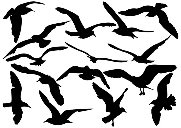 Vliegende zee-meeuwen vector illustratie — Stockvector