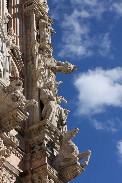 Detalles arquitectónicos de Siena duomo —  Fotos de Stock