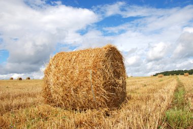 Hay bales clipart