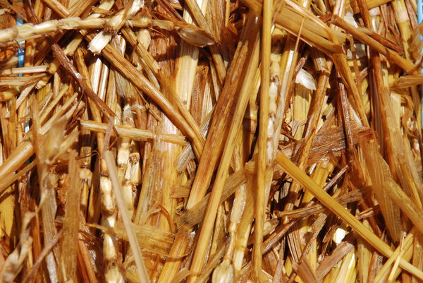 Соломенный фон
