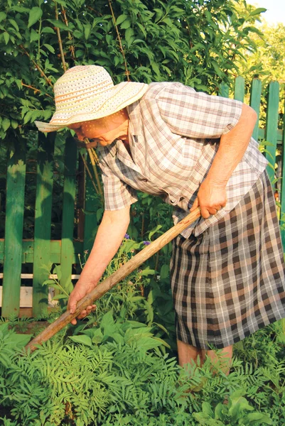 Старушка, работающая в саду — стоковое фото