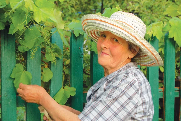 Yaşlı kadın bahçede çalışan — Stok fotoğraf