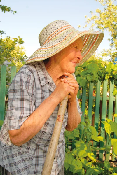 Oude vrouw die werkt in de tuin Stockafbeelding