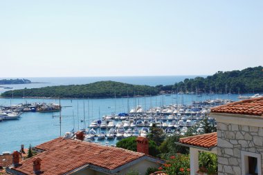 Vrsar, Croatia clipart