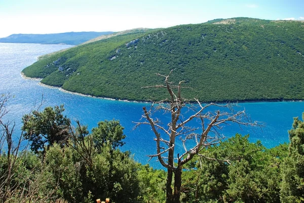 Bahía del mar Adriático — Foto de Stock