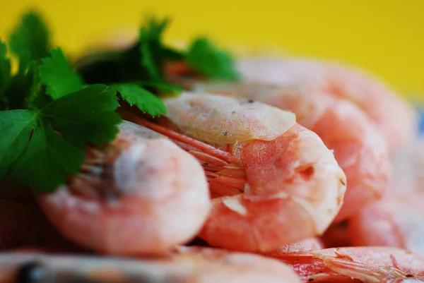 stock image Shrimp