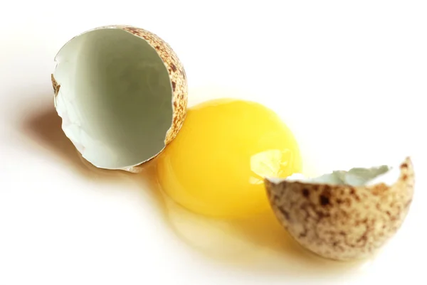 stock image Egg