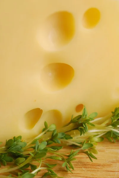치즈 스톡 이미지
