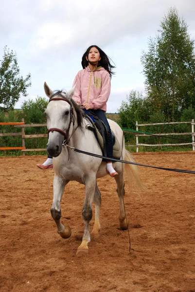 BEAUTIFUL GIRL EMBRACES A HORSE — Stock Photo, Image