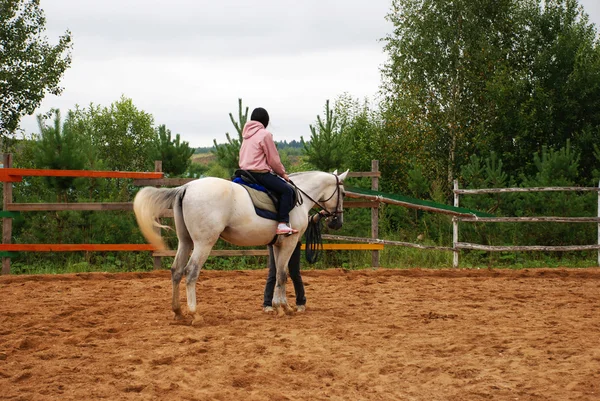 Vacker flicka omfamnar en häst — Stockfoto