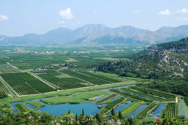 stock image Neretva river delta in Croatia