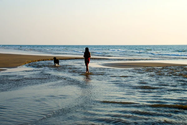 kız ve köpeği kumsalda oynarken