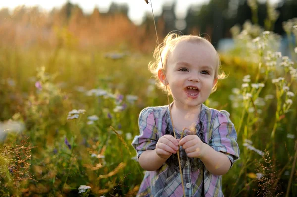 Pequeno bebê sorridente agradável em um prado — Fotografia de Stock