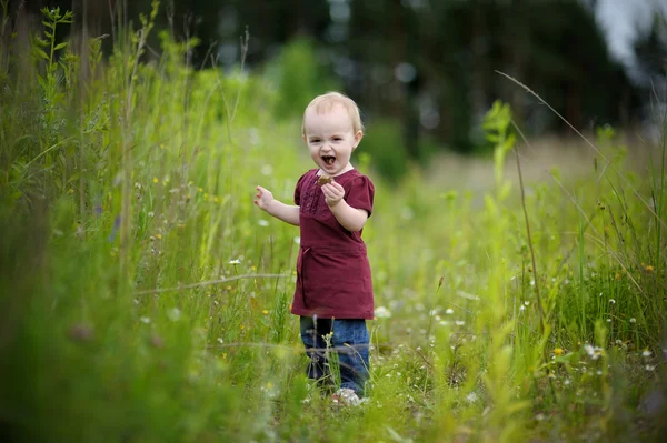 牧草地で小さな赤ちゃん — ストック写真