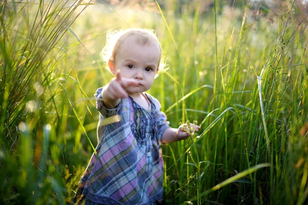 牧草地で小さな赤ちゃん — ストック写真