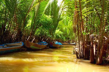 Mekong Delta - waterway through jungle a clipart