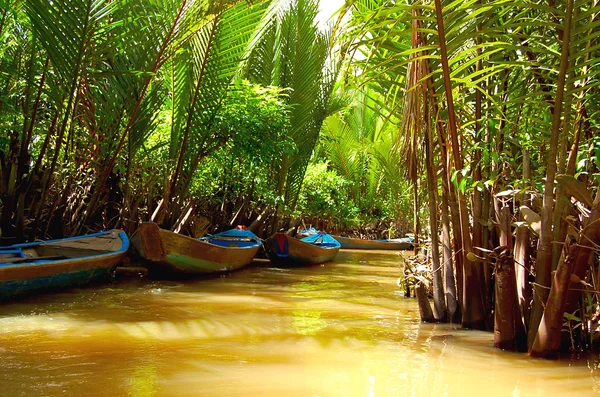 湄公河三角洲-航道经过丛林 — 图库照片
