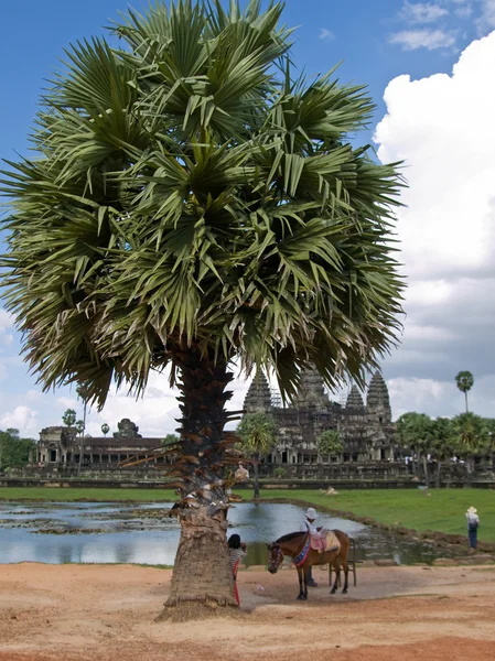 Vista de Angkor wat — Fotografia de Stock