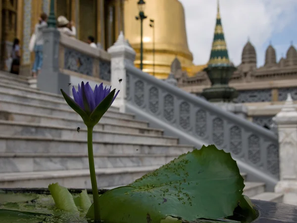 タイの王の宮殿の詳細 — ストック写真