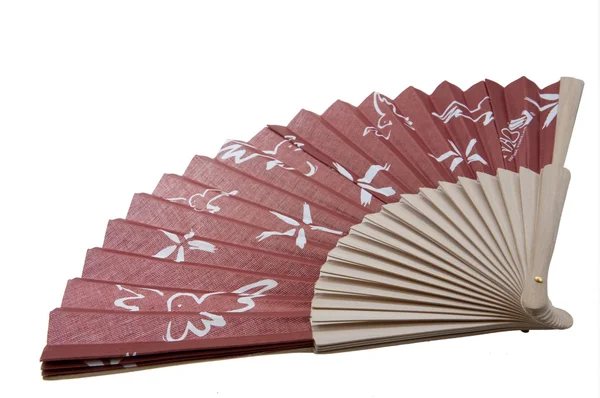 Stock image Cute fan