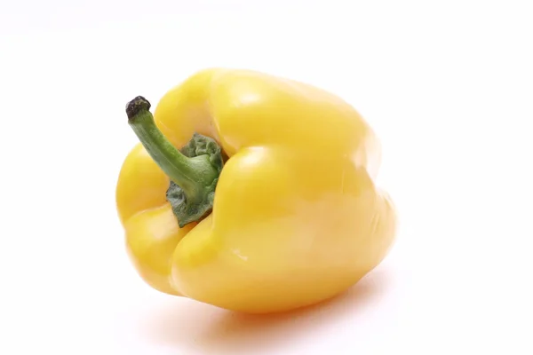 stock image Pepper