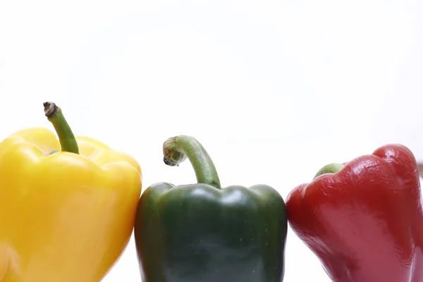 stock image Pepper