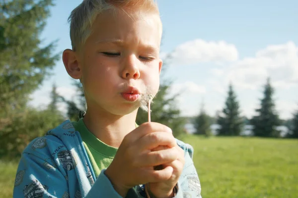 The cheerful boy blowing on a dandelion. — Stock Photo, Image