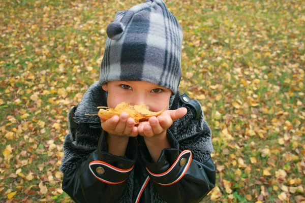 Retrato do menino com folhas de outono i — Fotografia de Stock